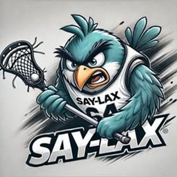 Lacrosse copy.webp