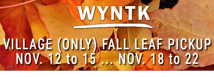 WYNTK Fall Leaf Pickup copy.webp