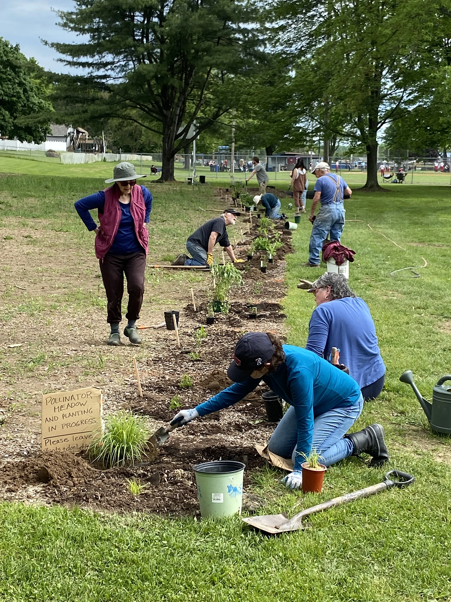 Pollinator Meadow Planting in Progress copy.webp