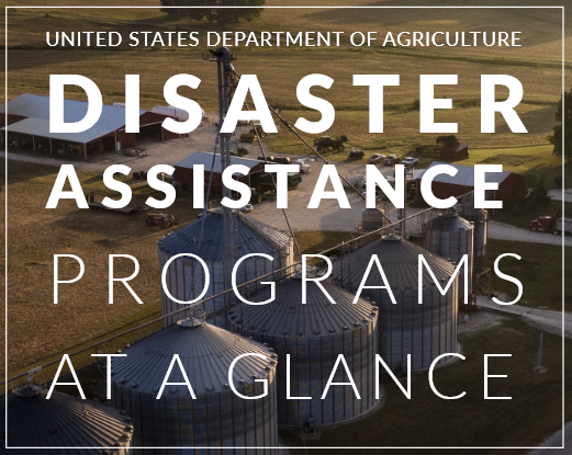 USDA Disaster Assistance Programs.webp