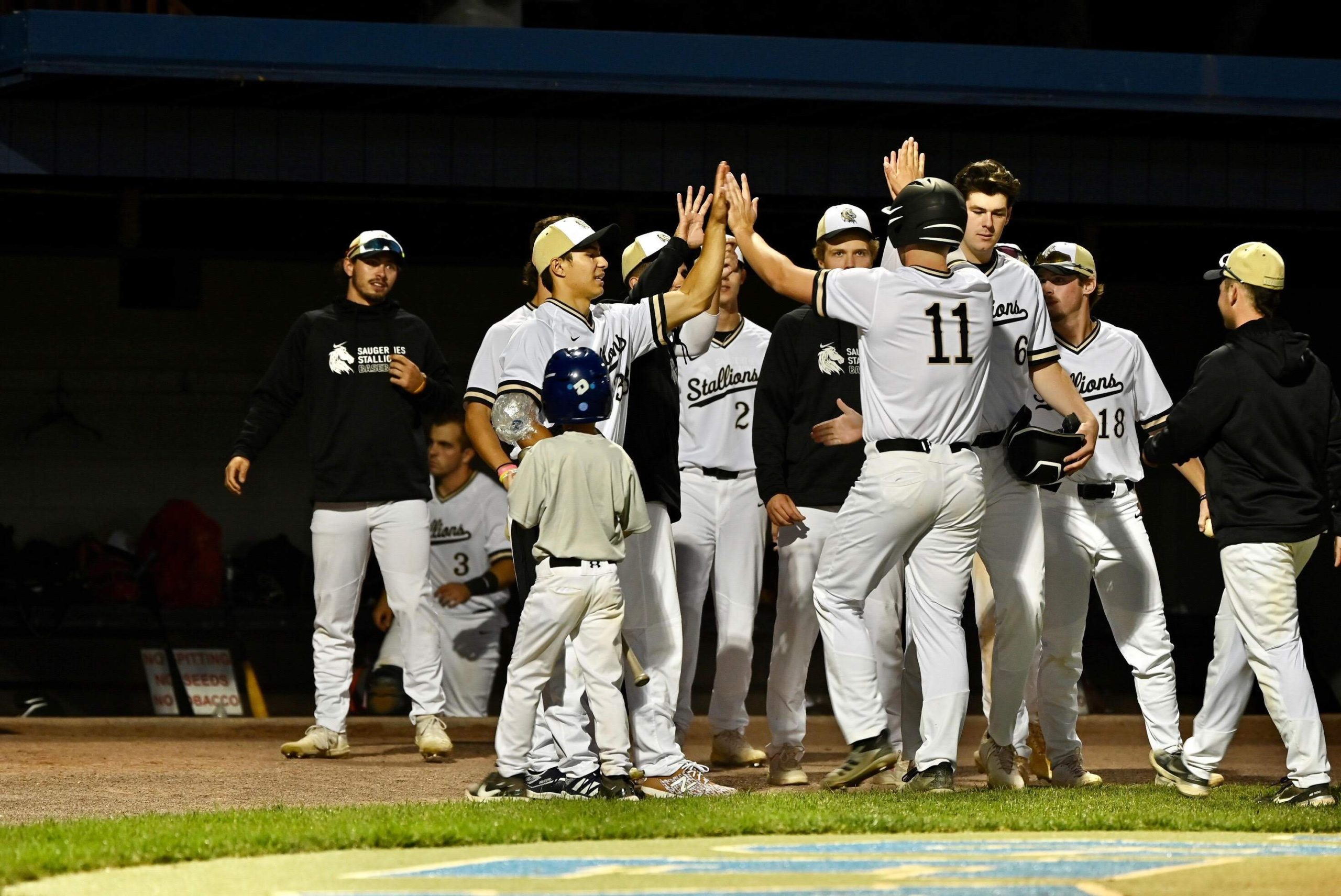 High 5s at a Night Game.jpeg