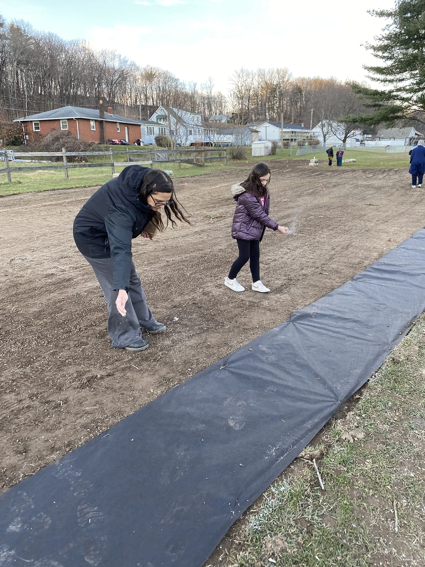 Sowing Pollinator Garden Seeds