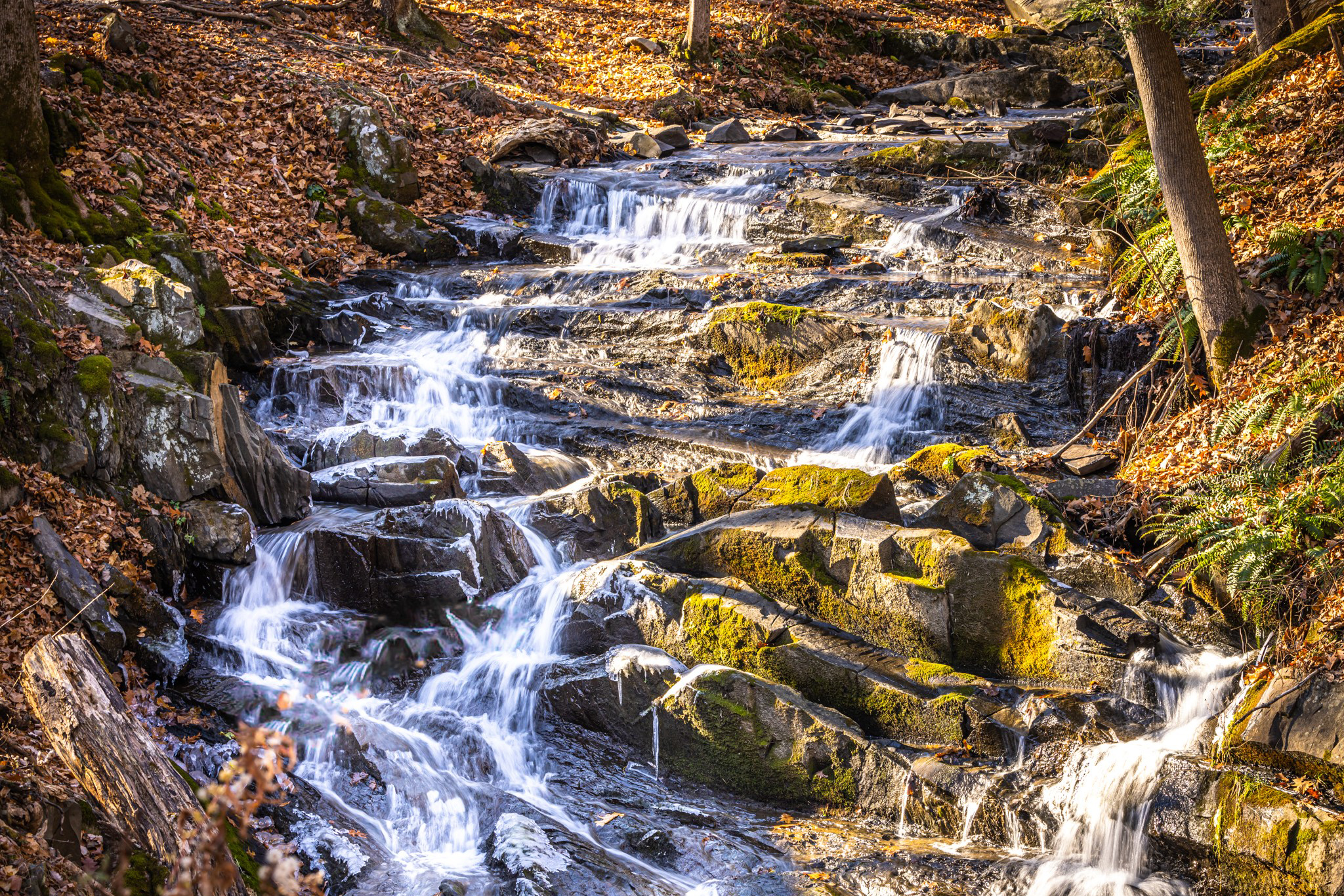 Button showing a Cascading Stream at Falling Waters, linking to the Scenic Hudson page about Falling Waters