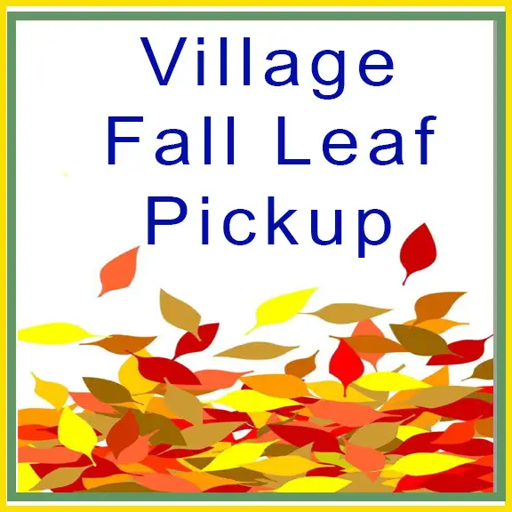 Fall Leaf Pickup.webp