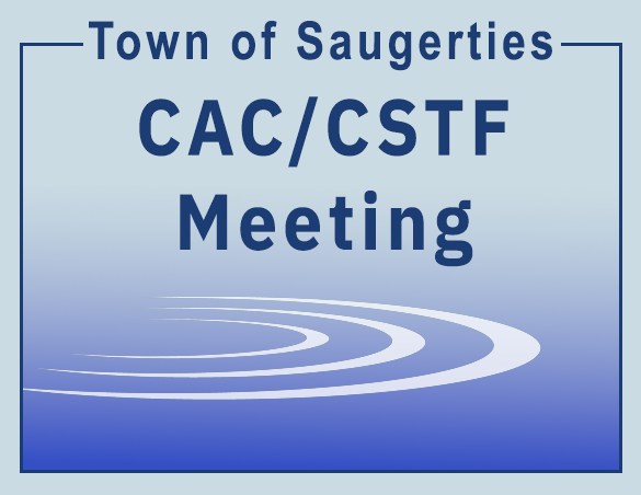 CAC-CSTF Meeting copy.webp
