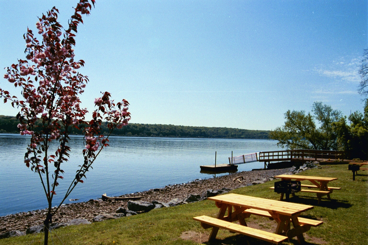 Photo showing picnic benches and a doc at Malden Mini-Park.  Links to the Malden Mini-Park page.