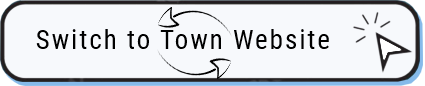 Button says "Switch to Village Website".  It gets you switched over from the current Village website to the Town site.