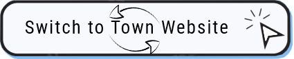 Button says "Switch to Town Website".  