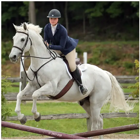 Festival of the Horse copy.webp