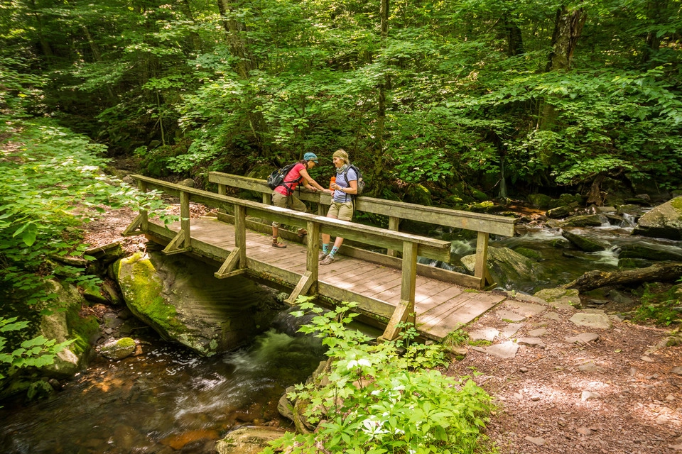 Button showing 2 hikers on a catskills hiking trail, linking to a hiking page for this website