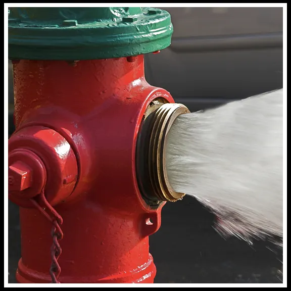 Hydrant Flushing copy.webp