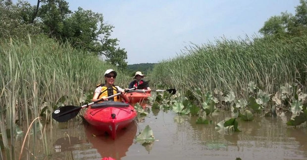 Photo from TribLive showing Kayakers.  It links to a Kayaking page.