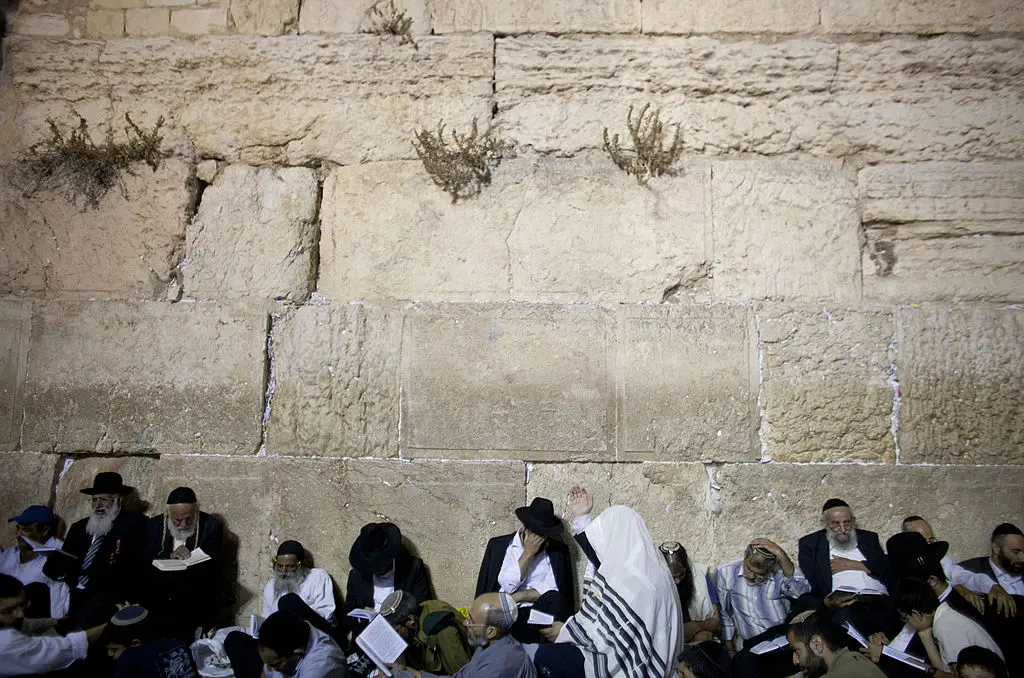 Tisha BAv.webp