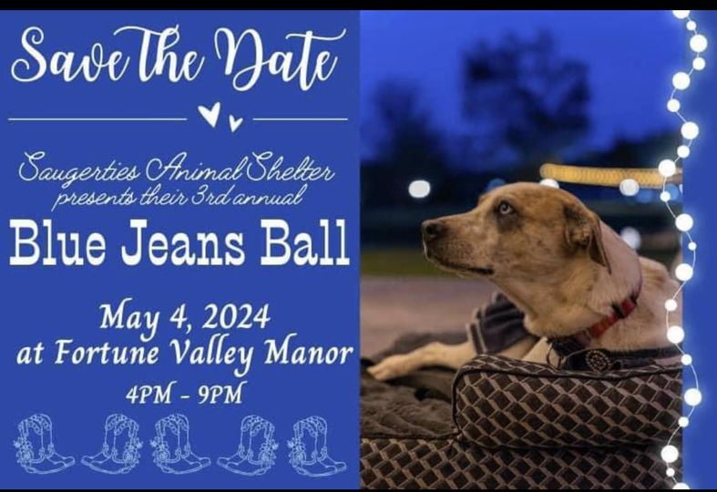 Blue Jeans Ball - May 2024 copy.webp