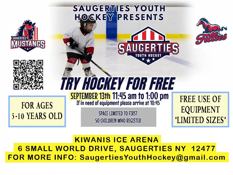 Learn Hockey for Free copy.webp