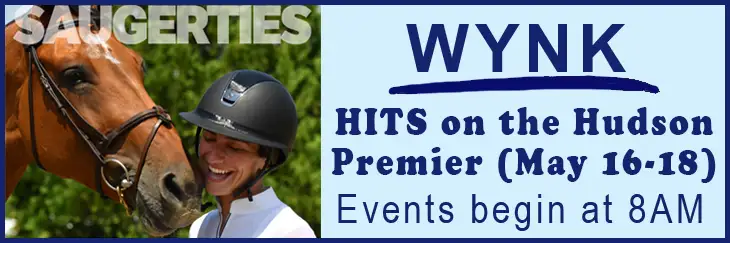 WYNTK - HITS Premier copy.webp