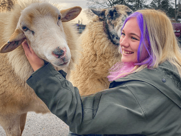 Image showing a young woman petting a sheep