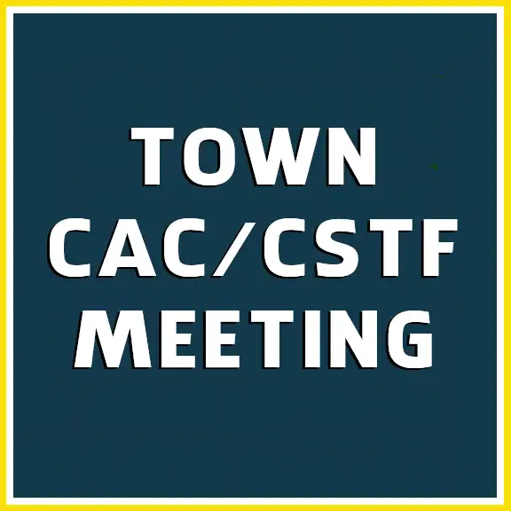 Town CAC CSTF Meeting2 copy.webp